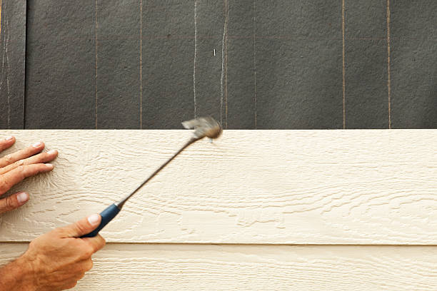 Best Insulated Siding Installation  in Shell Ridge, CA